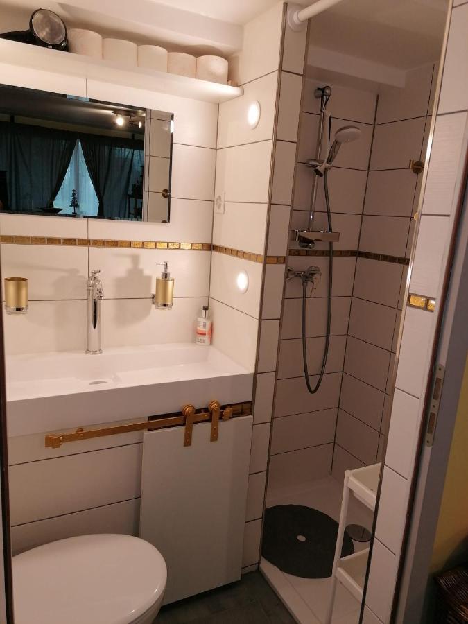 Ravissant Studio Neuf, Entierement Equipe, Fonctionnel De 40 M2 Avec Entree Independante Dans La Campagne Campagnes Massonnens Zewnętrze zdjęcie